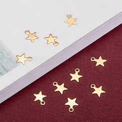 304 Stainless Steel Charms&nbsp;STAS-F159-43G
