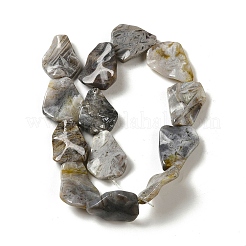 Natural Bamboo Leaf Agate Beads Strands&nbsp;G-NH0014-F01-01