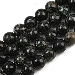Natural Seraphinite Beads Strands&nbsp;G-H337-A03-05