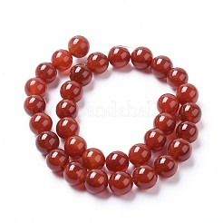 Natural Agate Beads Strands&nbsp;G-I261-B01-12mm