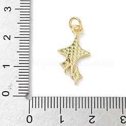 Brass Enamel Pendants&nbsp;KK-L239-052F-G