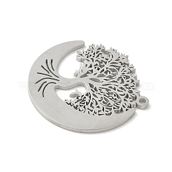 304 Stainless Steel Pendants&nbsp;X-STAS-V016-10P