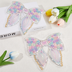 Polyester & Resin Thread Sew On Patches&nbsp;PATC-WH20007-08