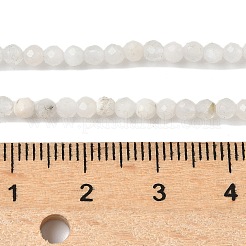 Natural Moonstone Beads Strands&nbsp;G-C201-B06-3mm