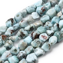 Natural Larimar Beads Strands&nbsp;G-B161-B10