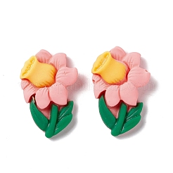 Spray Painted Resin Cabochons&nbsp;RESI-G031-24