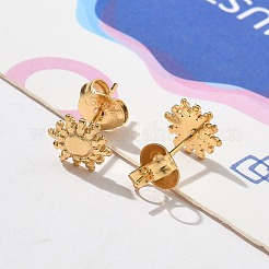 304 Stainless Steel Stud Earrings for Women&nbsp;STAS-Z117-17G-02