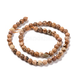 Natural Picture Jasper Beads Strands&nbsp;G-E571-28A
