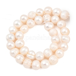 Natural Cultured Freshwater Pearl Beads Strands&nbsp;PEAR-D003-01C-05
