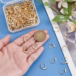 100Pcs 316L Surgical Stainless Steel Leverback Earring Findings&nbsp;STAS-BBC0010-91