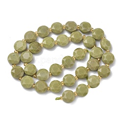 Natural Alashan Agate Beads Strands&nbsp;G-C116-A189-01
