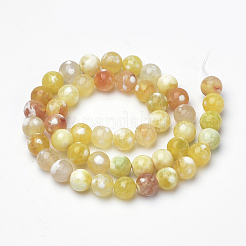 Dyed Natural Fire Crackle Agate Beads Strands&nbsp;X-G-Q462-127D-8mm