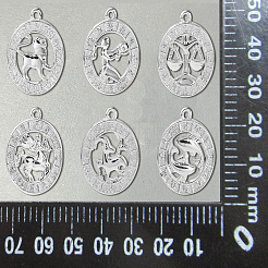 Alloy Pendants&nbsp;FIND-CJC0017-13P