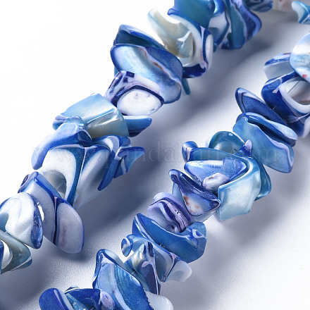 Wholesale Natural Trochid Shell/Trochus Shell Bead Strands - Pandahall.com