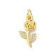 Brass Micro Pave Cubic Zirconia Pendants&nbsp;KK-S511-14G-1