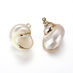 Electroplate Spiral Shell Pendants, with Iron Findings, Conch, Golden, 24~37x18~28x13~23, Hole: 2mm