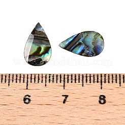 Natural Paua Shell Teardrop Cabochons&nbsp;SSHEL-T017-12