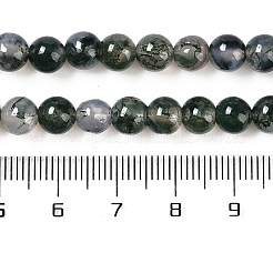 Natural Moss Agate Bead Strands&nbsp;G-J358-01-6mm