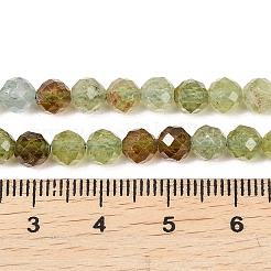 Natural Green Garnet Beads Strands&nbsp;G-B175-D12-5mm