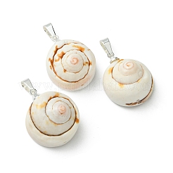 Natural Shiva Eye Shell Pendants&nbsp;PALLOY-JF05393