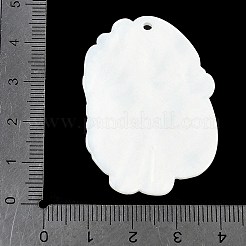 Acrylic Pendants&nbsp;OACR-V001-03C