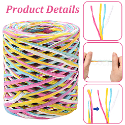 Segment Dyed Raffia Paper Cords for DIY Craft&nbsp;OCOR-WH20020-27C