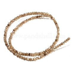Natural White Shell Dyed Beads Strands&nbsp;BSHE-Z005-03A