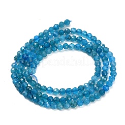 Natural Apatite Beads Strands&nbsp;G-Z106-A01-3mm