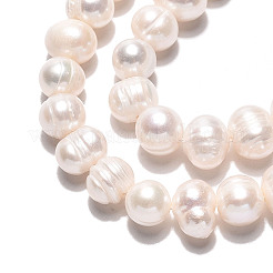 Natural Cultured Freshwater Pearl Beads Strands&nbsp;PEAR-N026-04