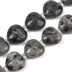 Natural Labradorite Beads Strands&nbsp;G-B022-32C-A