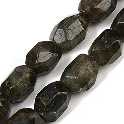 Natural Labradorite Beads Strands&nbsp;G-F796-C10-01