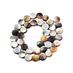 Natural Black Lip Shell Beads Strands&nbsp;SSHEL-N003-151B