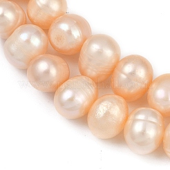 Natural Cultured Freshwater Pearl Beads Strands&nbsp;PEAR-I007-07X-06B