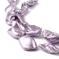 Electroplated Shell Pearl Beads Strands&nbsp;BSHE-A001-01D