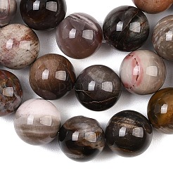 Natural Petrified Wood Beads Strands&nbsp;G-L648-A03-16mm-02