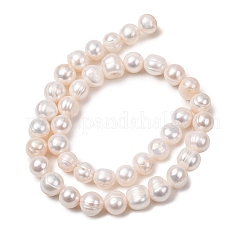 Natural Cultured Freshwater Pearl Beads Strands&nbsp;PA-CBABE82-13B