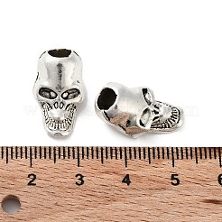 Tibetan Style Alloy Beads&nbsp;FIND-Q094-12B-AS