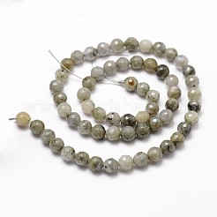 Natural Labradorite Beads Strands&nbsp;G-G736-04-4mm