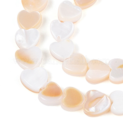 4 Strands Natural Freshwater Shell Beads Strands&nbsp;SHEL-PA0001-06
