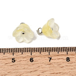 Glass Charms&nbsp;GLAA-G127-03B