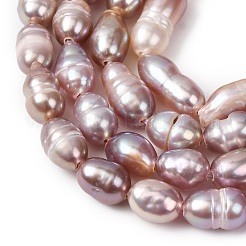 Natural Cultured Freshwater Pearl Beads Strands&nbsp;PEAR-F020-02B