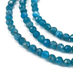 Natural Apatite Beads Strands&nbsp;X-G-Z057-B02-02