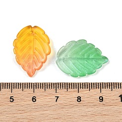 Transparent Handmade Lampwork Beads&nbsp;LA-CBA5F4F-04