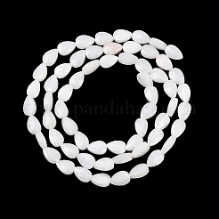 Natural White Moonstone Beads Strands&nbsp;G-A303-A01-01