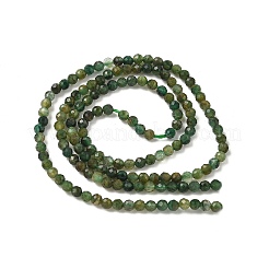 Natural Green Rutilated Quartz Beads Strands&nbsp;G-RM250101-E4