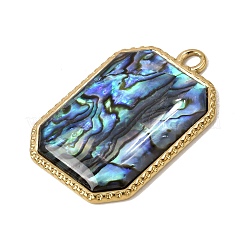 304 Stainless Steel & Natural Paua Shell Pendants&nbsp;SH-CBA7184-01C-G