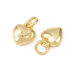 Brass Charms&nbsp;KK-Z132-19G