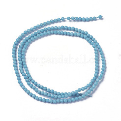 Synthetic Turquoise Beads Strands&nbsp;G-F596-39-3mm