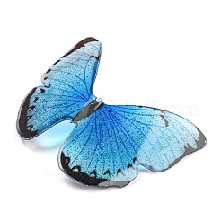 Transparent Resin Cabochons&nbsp;RESI-K031-01B-03