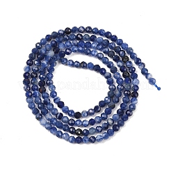 Natural Sodalite Beads Strands&nbsp;G-B175-D09-2mm